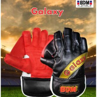 BDM Galaxy Wicket-Keeping Gloves